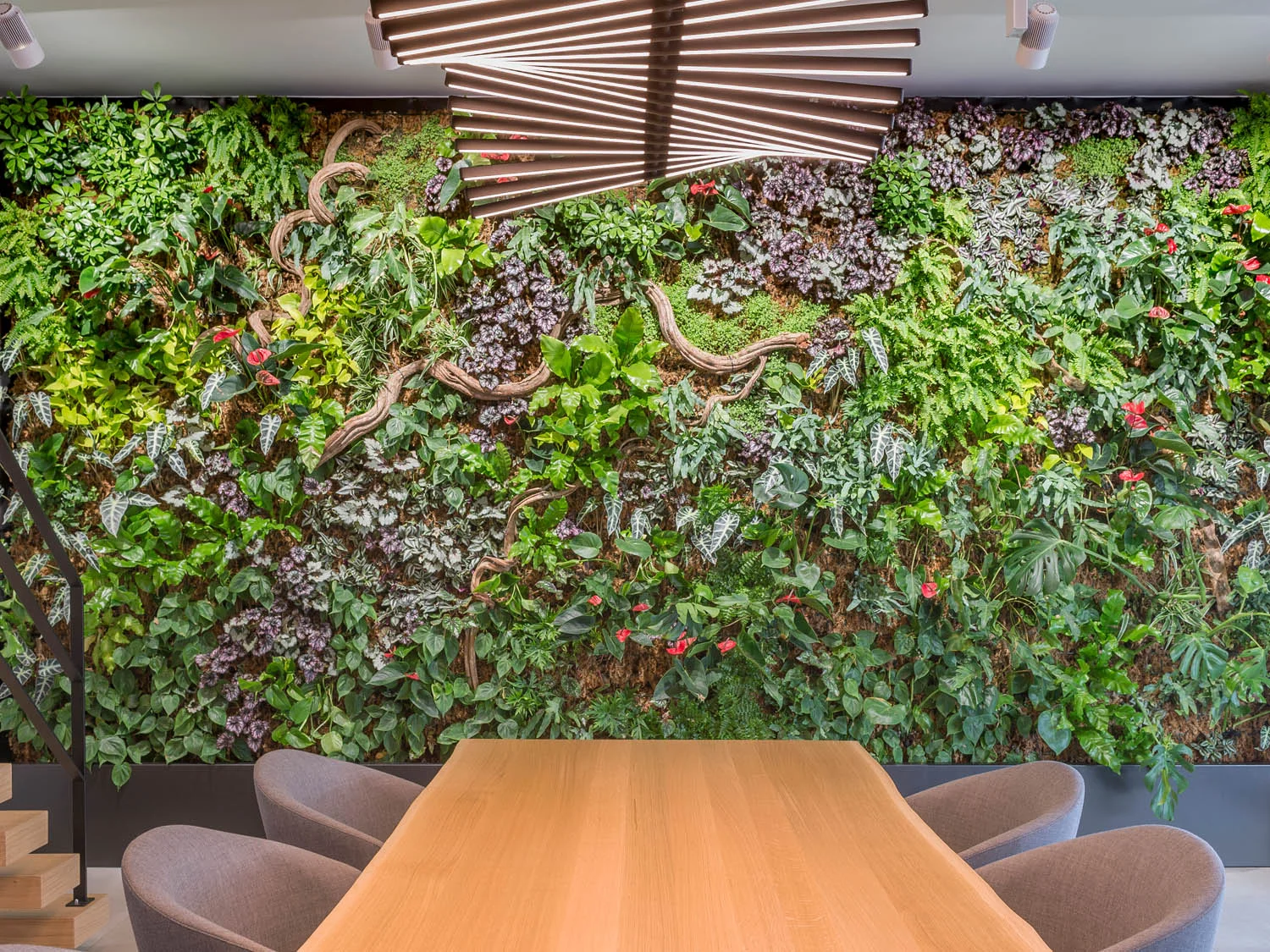 Végétal Indoor - Mur végétal intérieur - extérieur, plantes et
