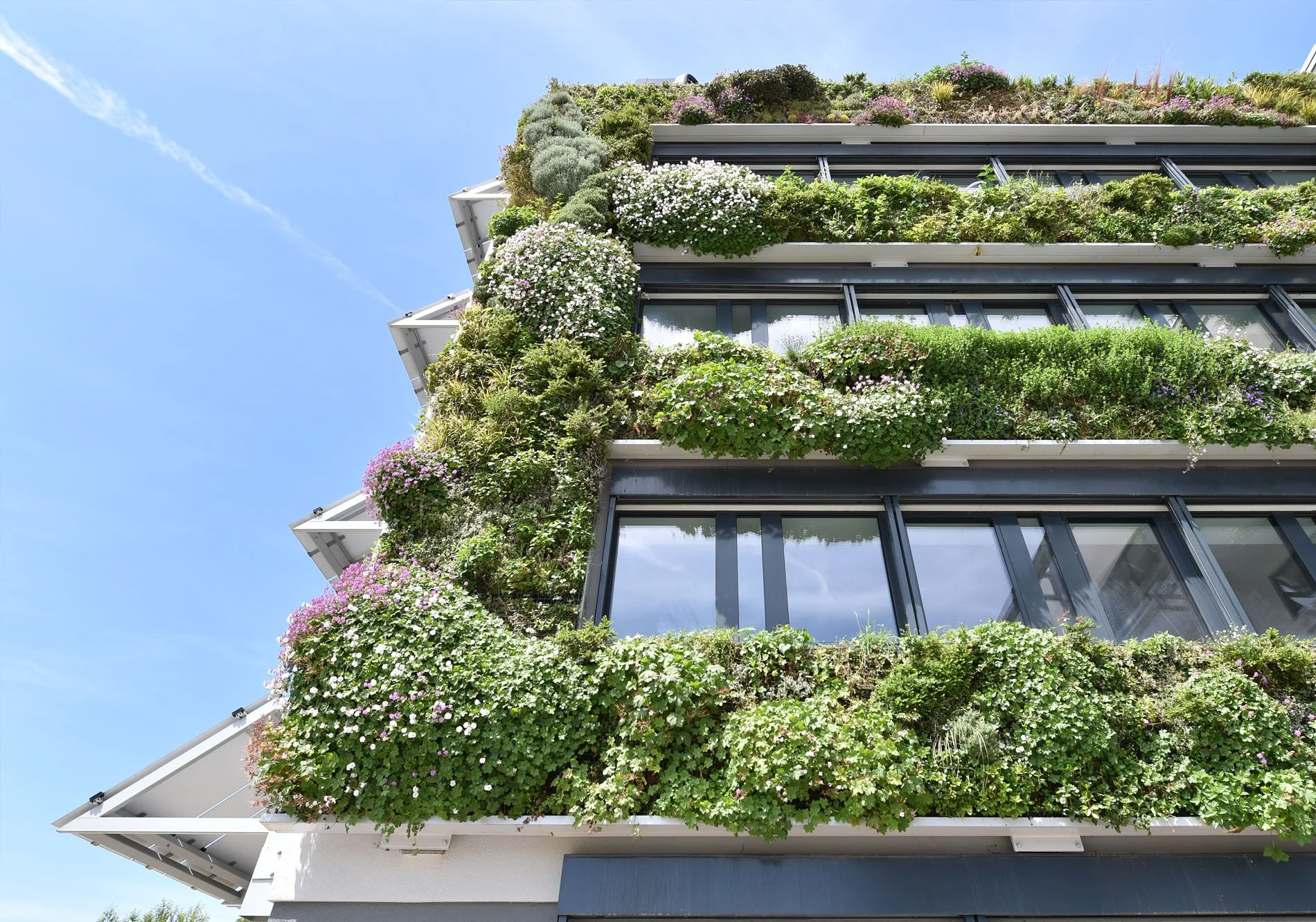 Jardin vertical à Luxembourg Solarwind