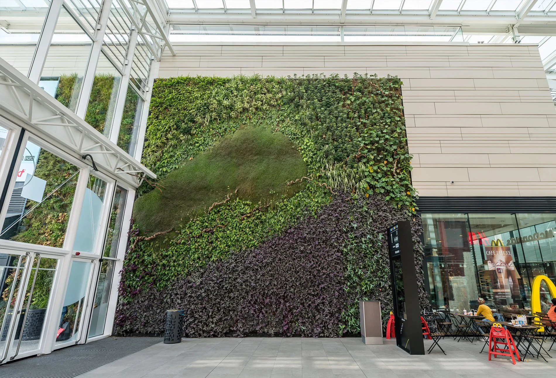Mur végétal à Bruxelles