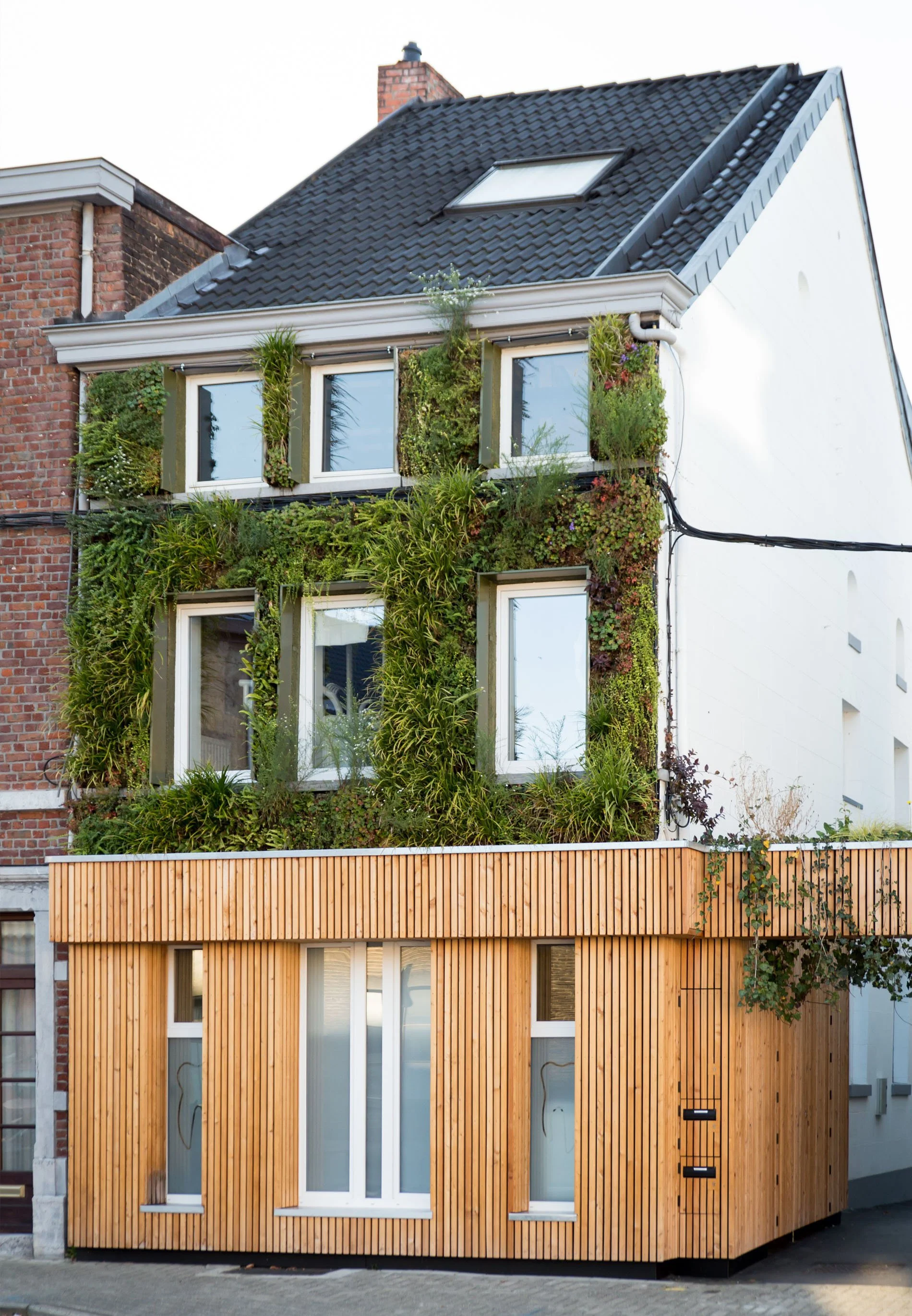 Verticale tuin voor tandartspraktijk te Wallonië